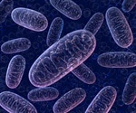Mitochondria on the move: New discovery could revolutionize treatment of brain diseases