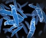 LJI scientists uncover clues to how human T cells combat Mycobacterium tuberculosis