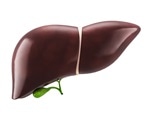 Researchers develop new method to study liver function and disease