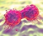 Study sheds light on 7-DHC's potential to induce cell death-resistant state in tumors