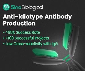 Antibody production services: anti-idiotype antibodies