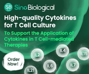 High-quality cytokines for T-cell culture