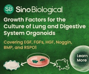 Growth factors for lung and digestive system organoids