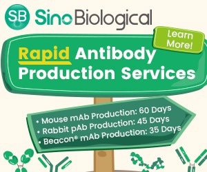 Rapid antibody production services