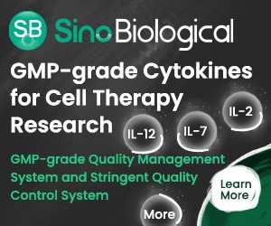 GMP grade cytokines for cell therapy and clinical applications