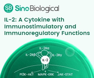IL-2: Recombinant Receptor Proteins for the Cytokine