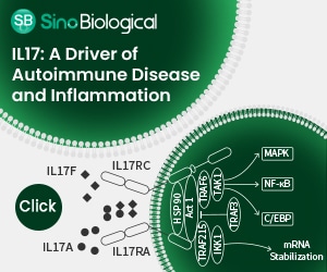 Interleukin-17 (IL17): A pro-inflammatory cytokine that drives autoimmune diseases
