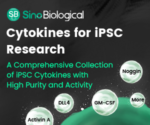 Induced pluripotent stem cell (iPSC) cytokines