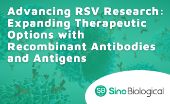 Advancing RSV research: Expanding therapeutic options with recombinant antibodies and antigens